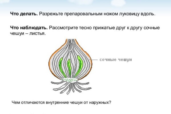 Актуальная ссылка на кракен kraken